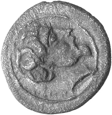 CN Type cn.amadocus_i_odrysian_thrace.1_ed.2, аверс, cn-coins