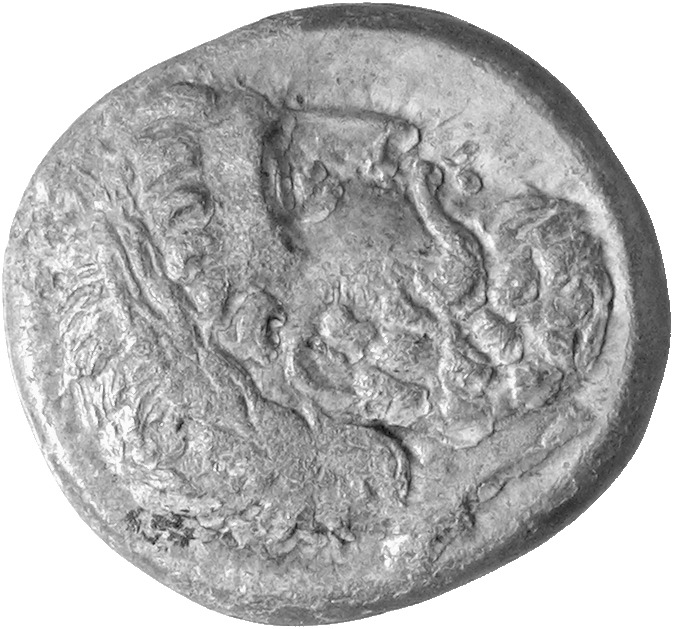 CN Type cn.seuthes_iii_odrysian_thrace.1_ed.3, реверс, cn-coins