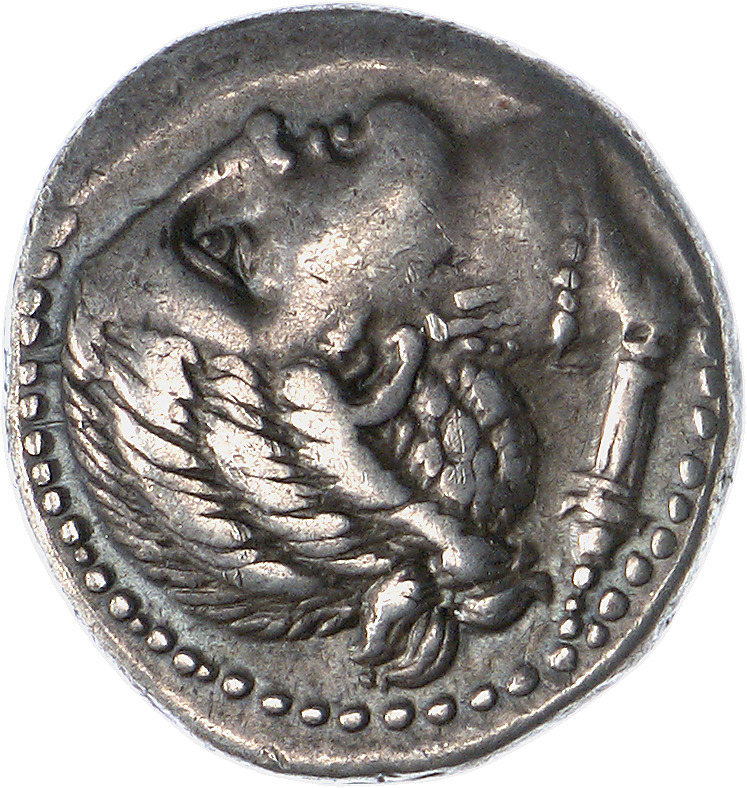 CN Type cn.orthagoreia_thrace.1_ed.4, аверс, cn-coins