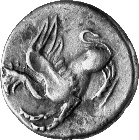 CN Type cn.abdera_thrace.1_ed.167, аверс, cn-coins