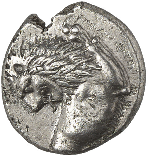 CN Type cn.chersonesus_thrace.1_ed.42, аверс, cn-coins
