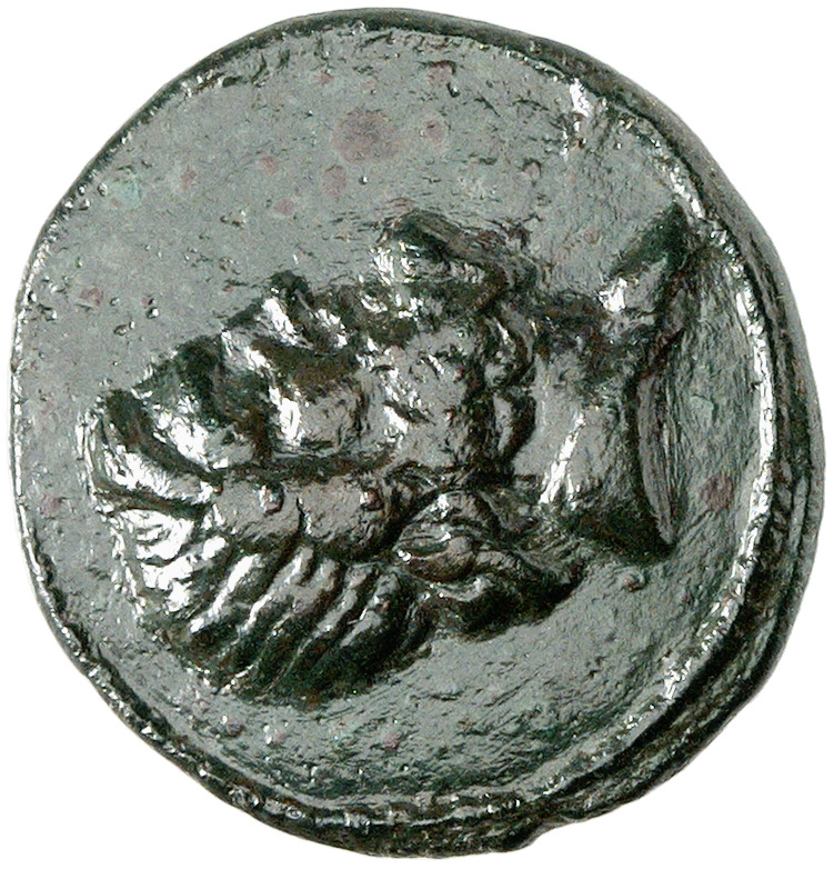 CN Type cn.perinthus.1_ed.68, аверс, cn-coins