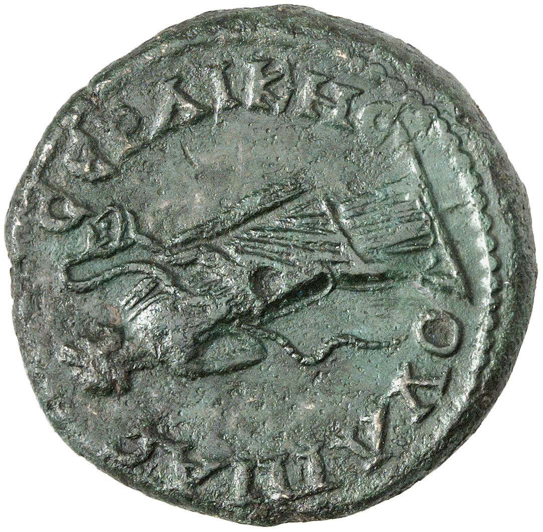 CN Type cn.serdica.1_ed.305, реверс, cn-coins