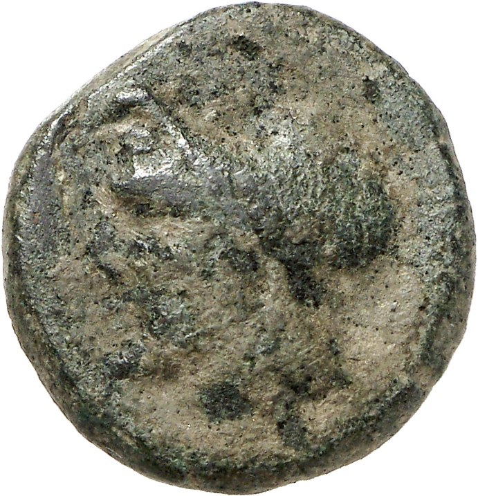 CN Type cn.aenus.1_ed.114, аверс, cn-coins