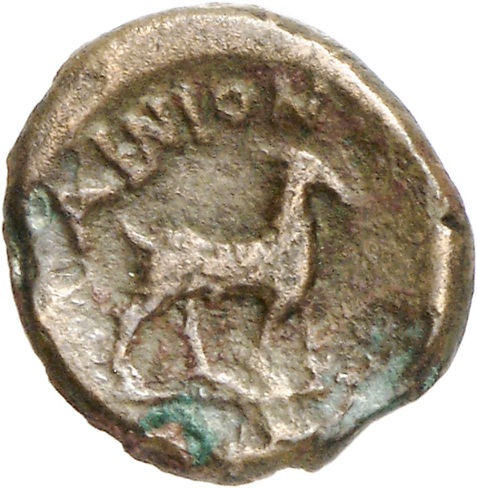 coin rev