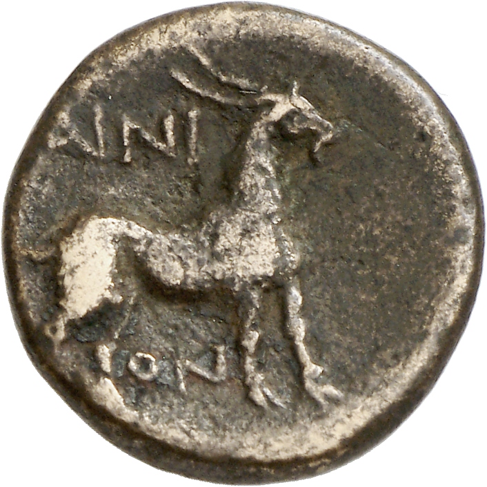 coin rev
