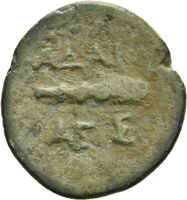 CN Type 12951, реверс, cn-coins