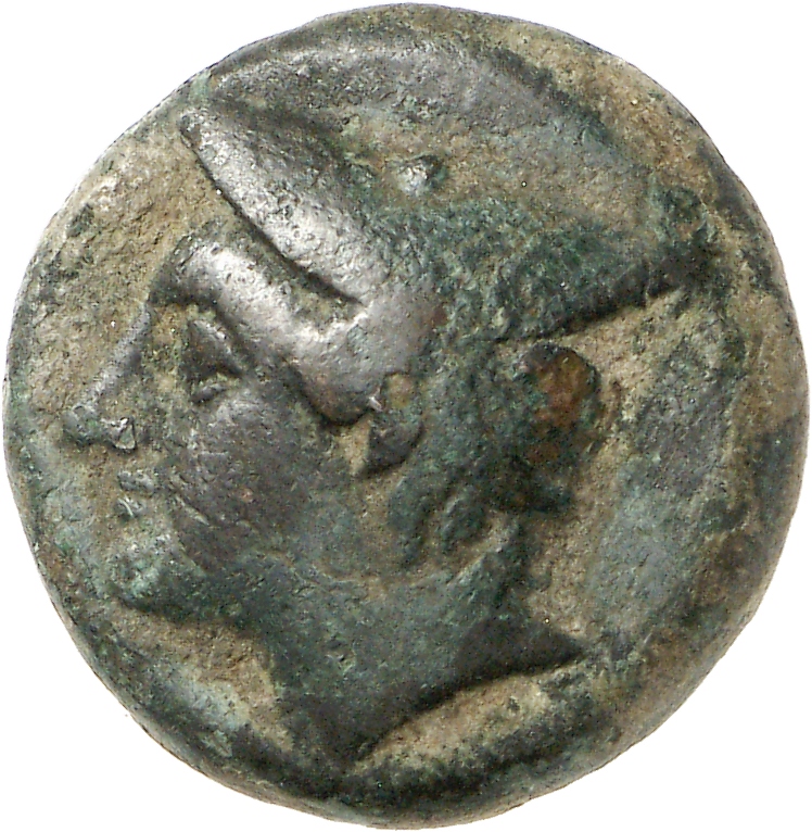 CN Type cn.aenus.1_ed.144, аверс, cn-coins