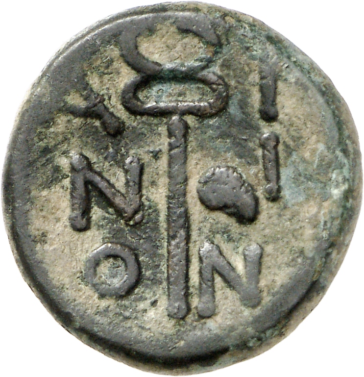 CN Type cn.aenus.1_ed.144, реверс, cn-coins