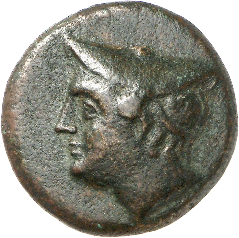 CN Type cn.aenus.1_ed.144, аверс, cn-coins