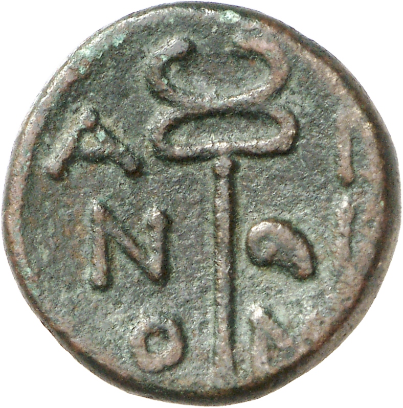 CN Type cn.aenus.1_ed.144, реверс, cn-coins