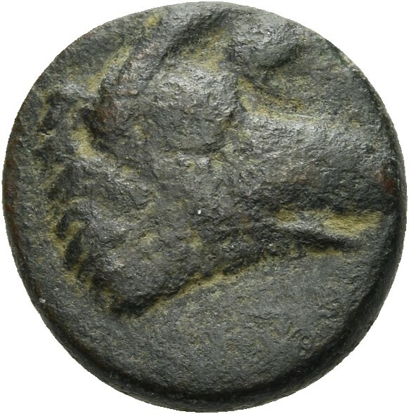 CN Type 12887, аверс, cn-coins