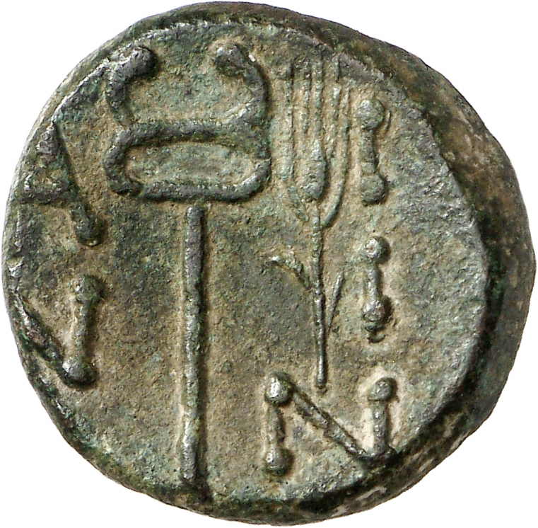 coin rev