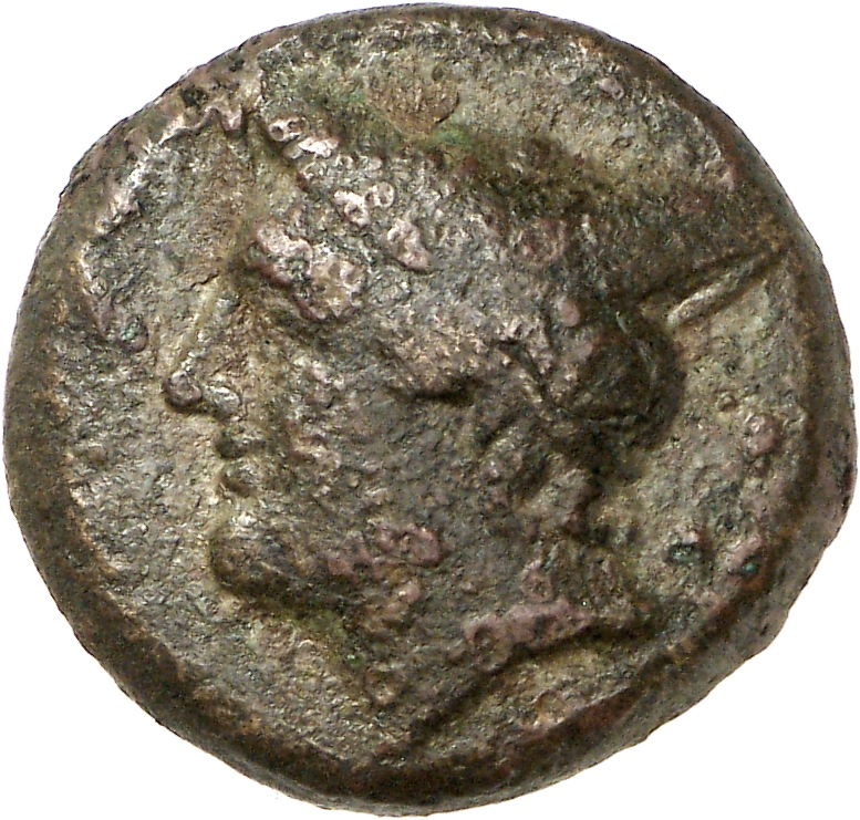 CN Type cn.aenus.1_ed.146, аверс, cn-coins