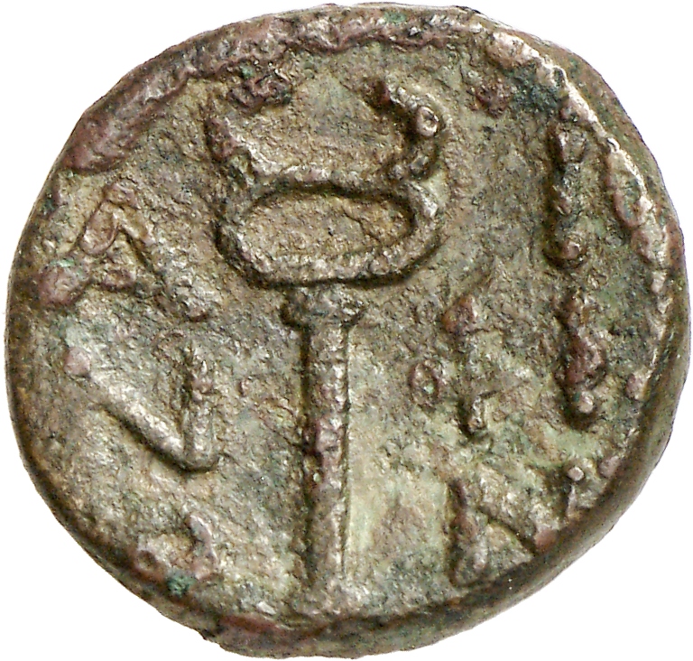 CN Type cn.aenus.1_ed.146, реверс, cn-coins