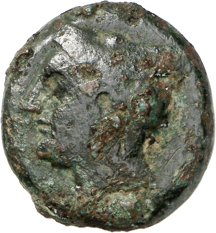 CN Type cn.aenus.1_ed.146, аверс, cn-coins