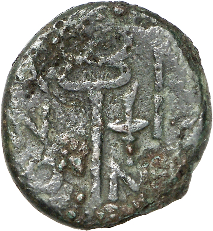 CN Type cn.aenus.1_ed.146, реверс, cn-coins
