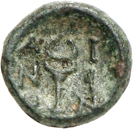 coin rev