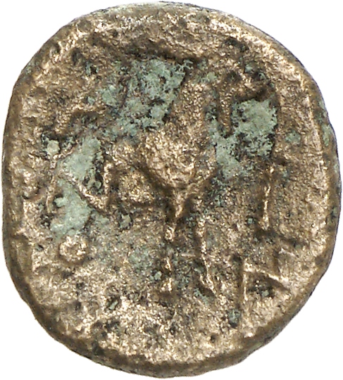 coin rev