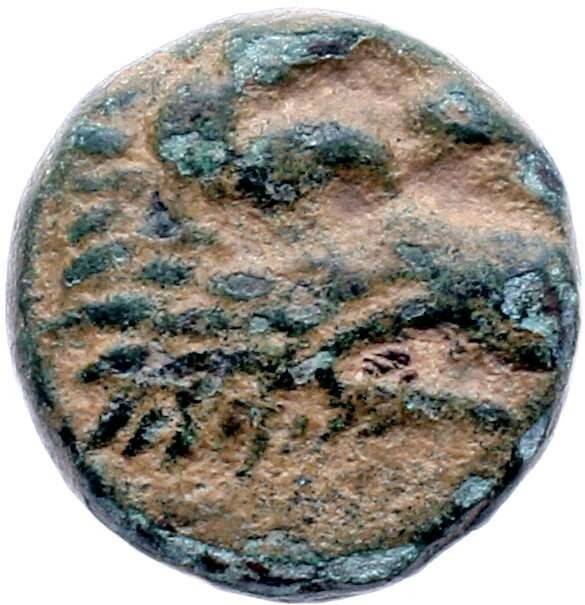 CN Type 12887, аверс, cn-coins