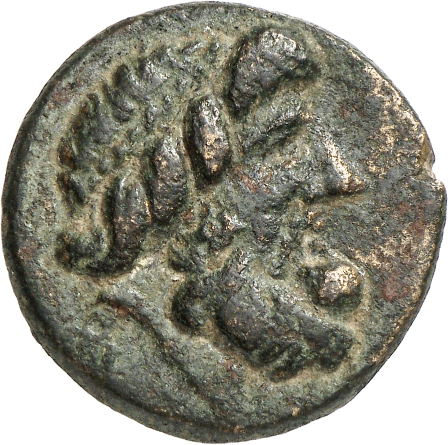 CN Type cn.aenus.1_ed.169, аверс, cn-coins