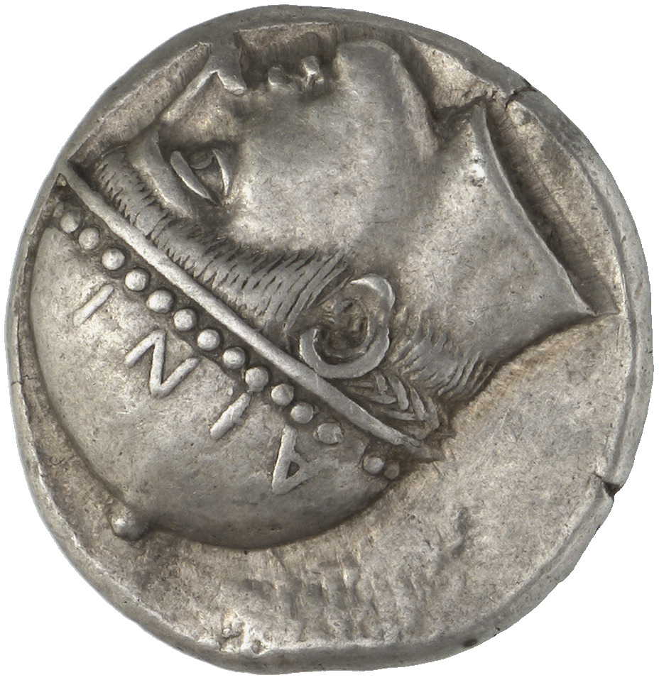 CN Type cn.aenus.1_ed.26, аверс, cn-coins