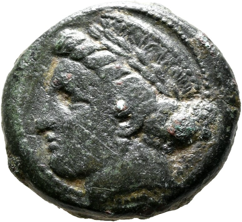 CN Type cn.aegospotami.1_ed.2, аверс, cn-coins