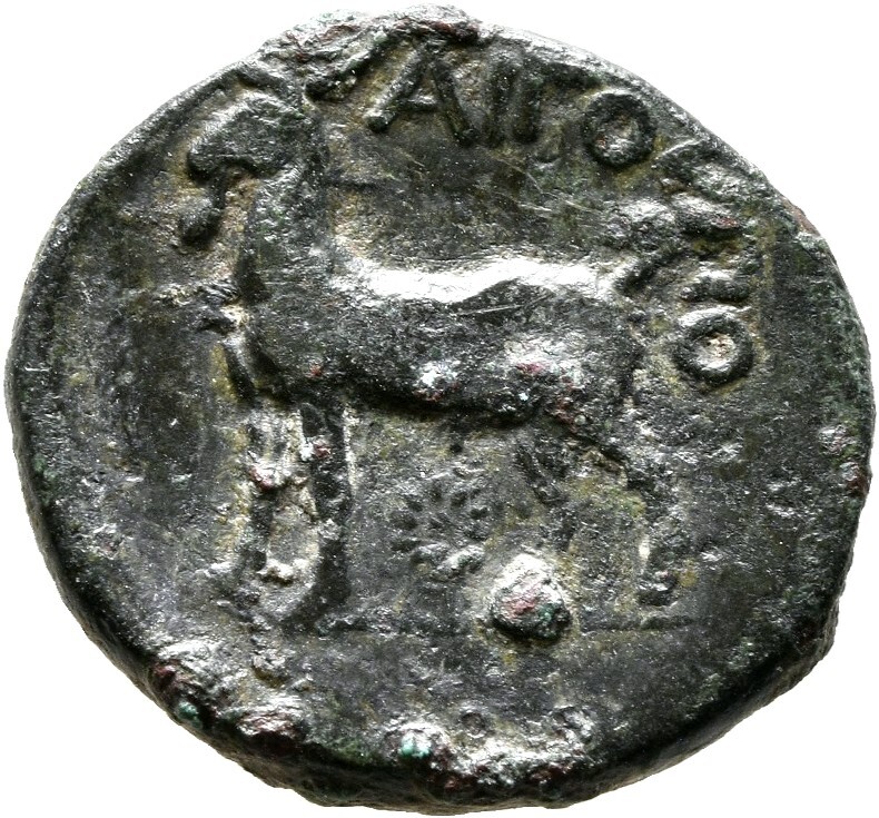 CN Type cn.aegospotami.1_ed.2, реверс, cn-coins