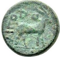 CN Type cn.aegospotami.1_ed.7, реверс, cn-coins
