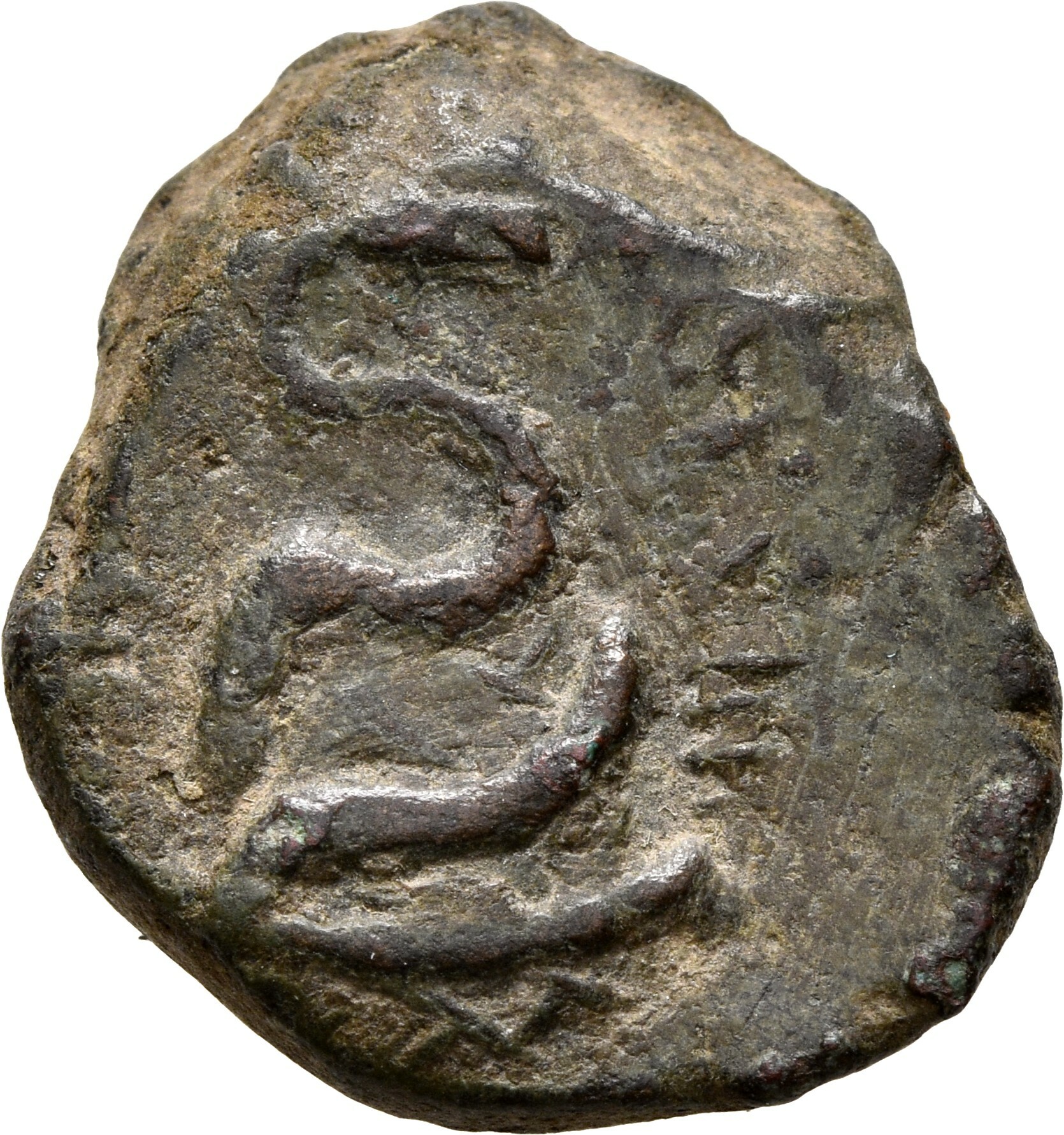 CN Type 11758, реверс, cn-coins