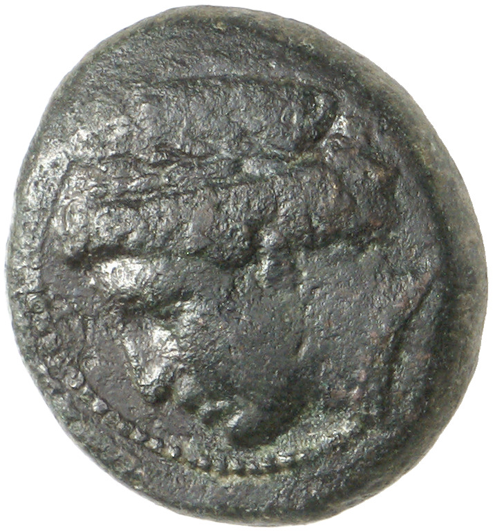 CN Type cn.aegospotami.1_ed.2, аверс, cn-coins