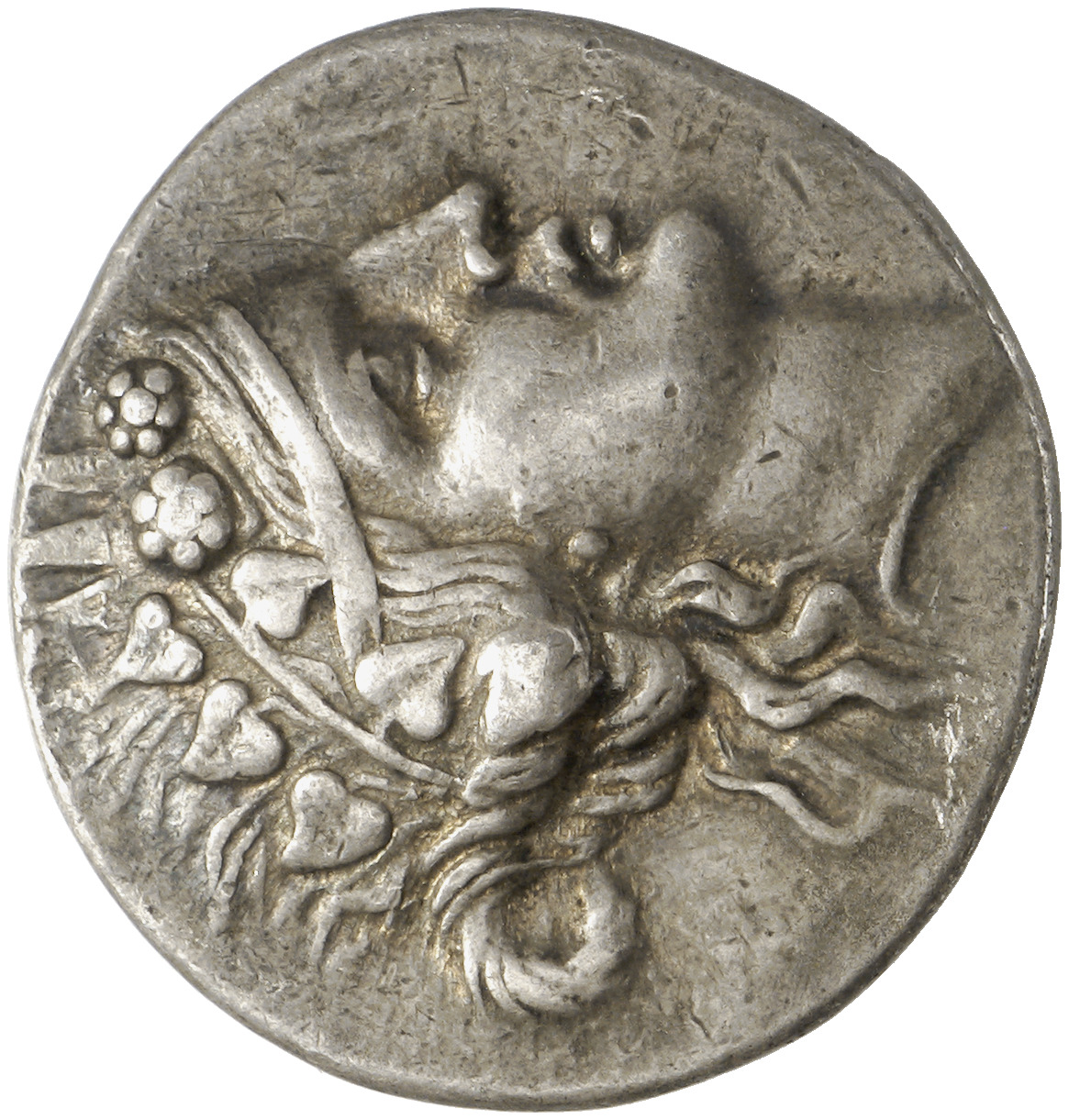 CN Type cn.thasos.1_ed.137, аверс, cn-coins