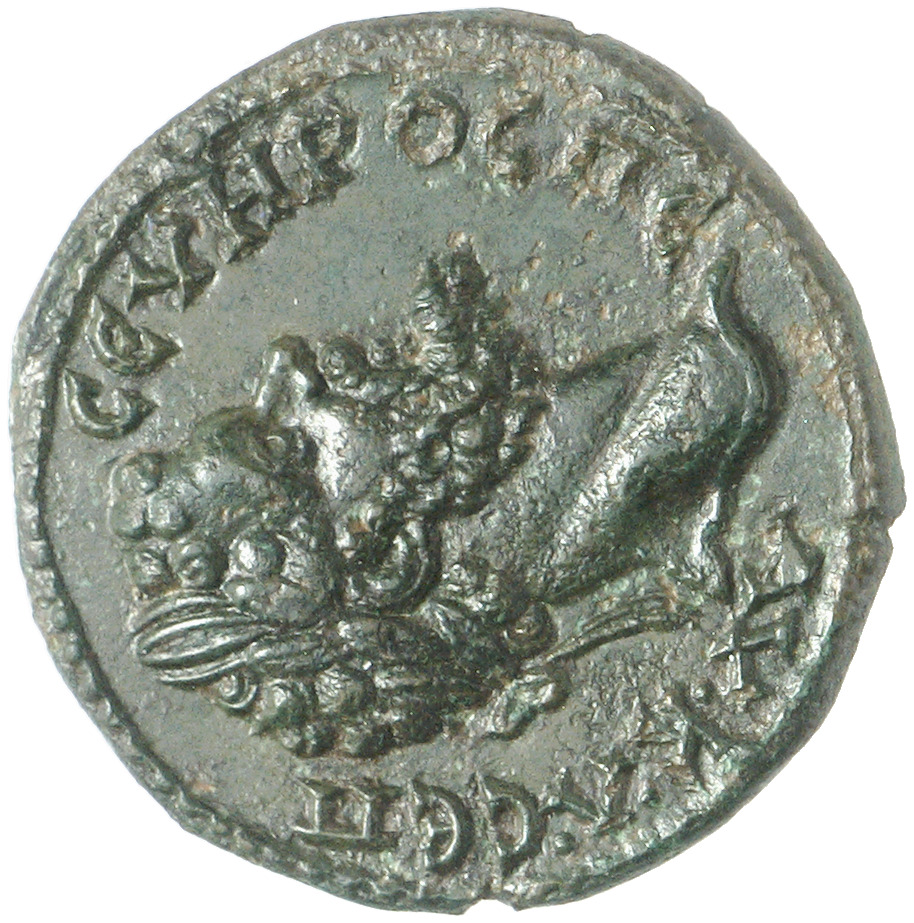 CN Type cn.perinthus.1_ed.244, аверс, cn-coins