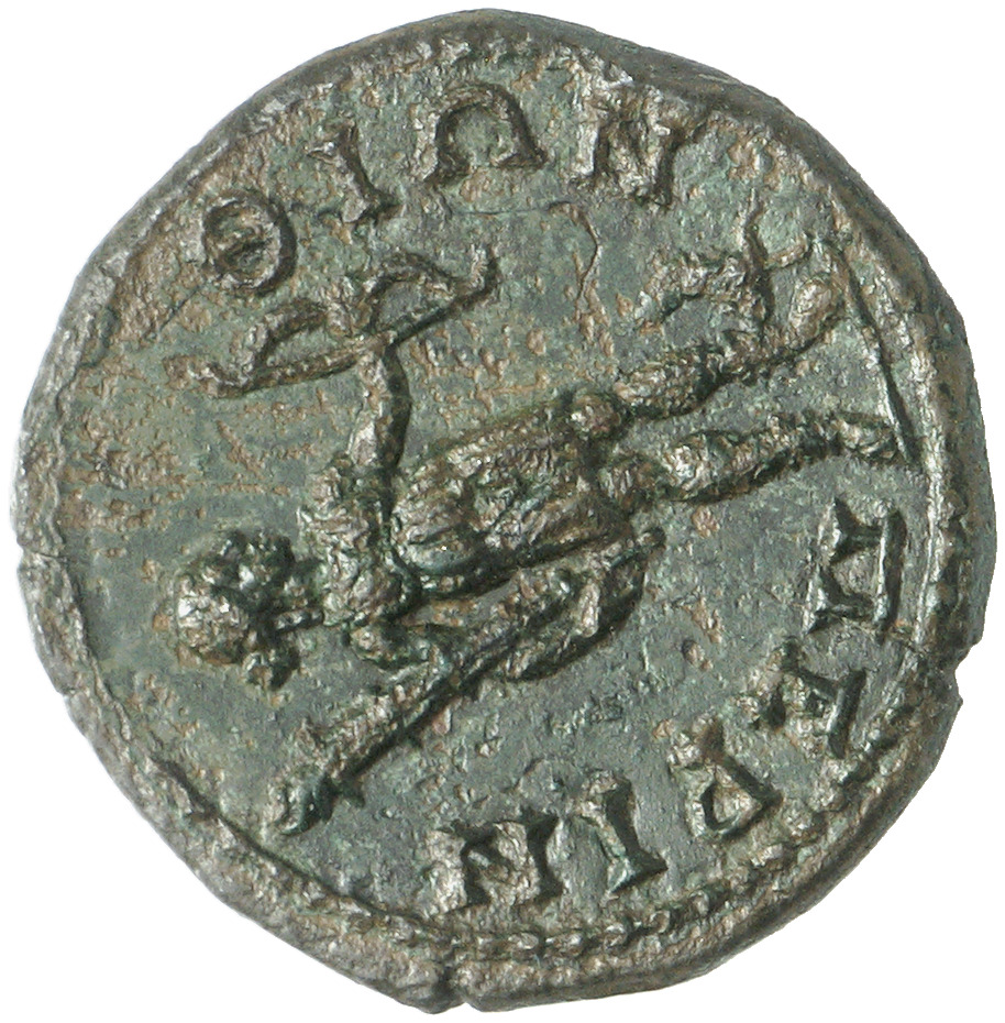 CN Type cn.perinthus.1_ed.244, реверс, cn-coins