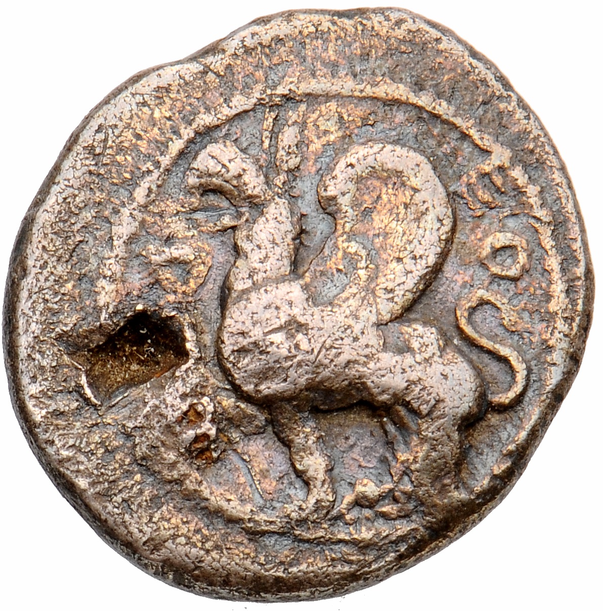 CN Type cn.abdera_thrace.1_ed.70, аверс, cn-coins