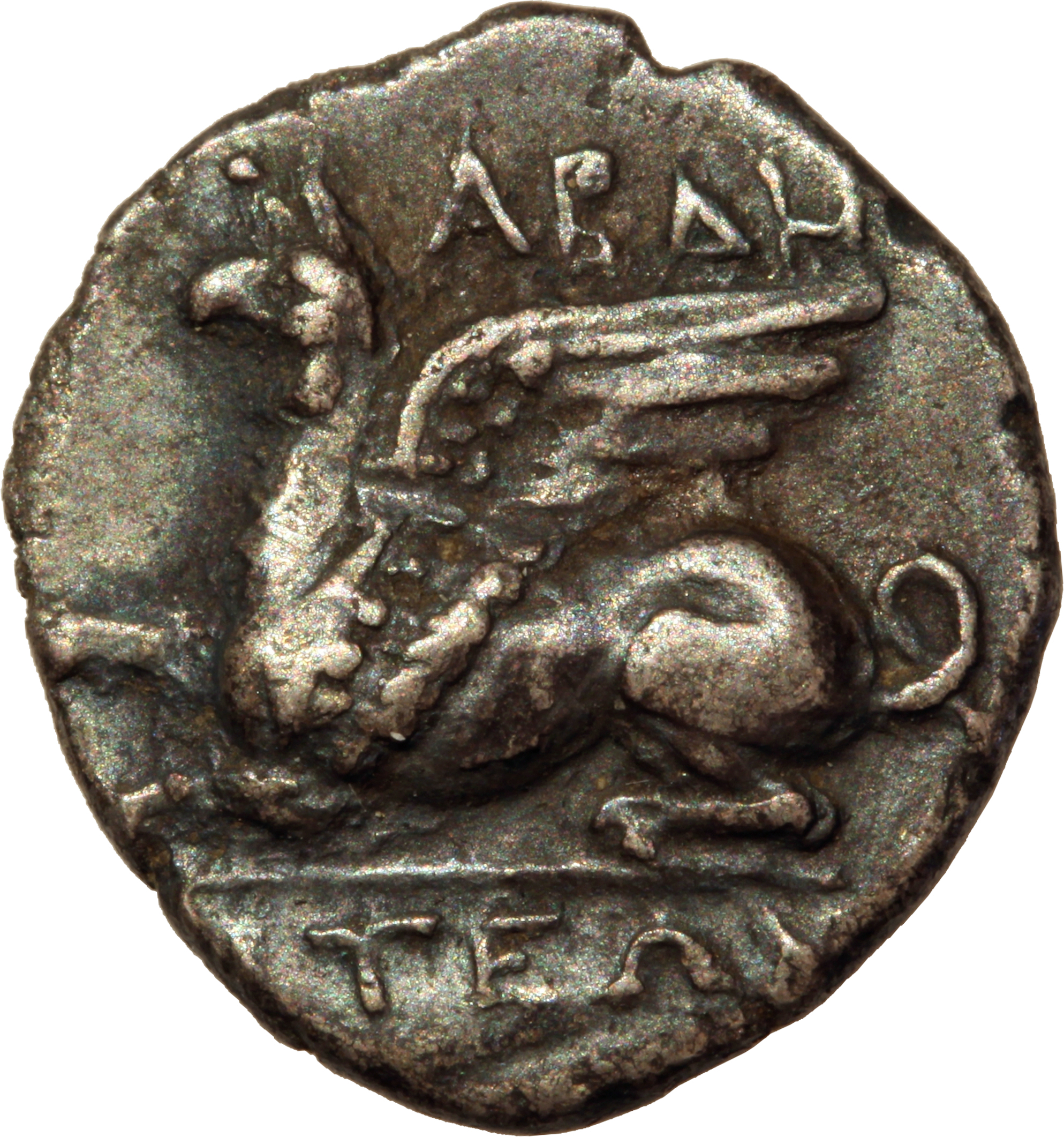 CN Type cn.abdera_thrace.1_ed.242, аверс, cn-coins