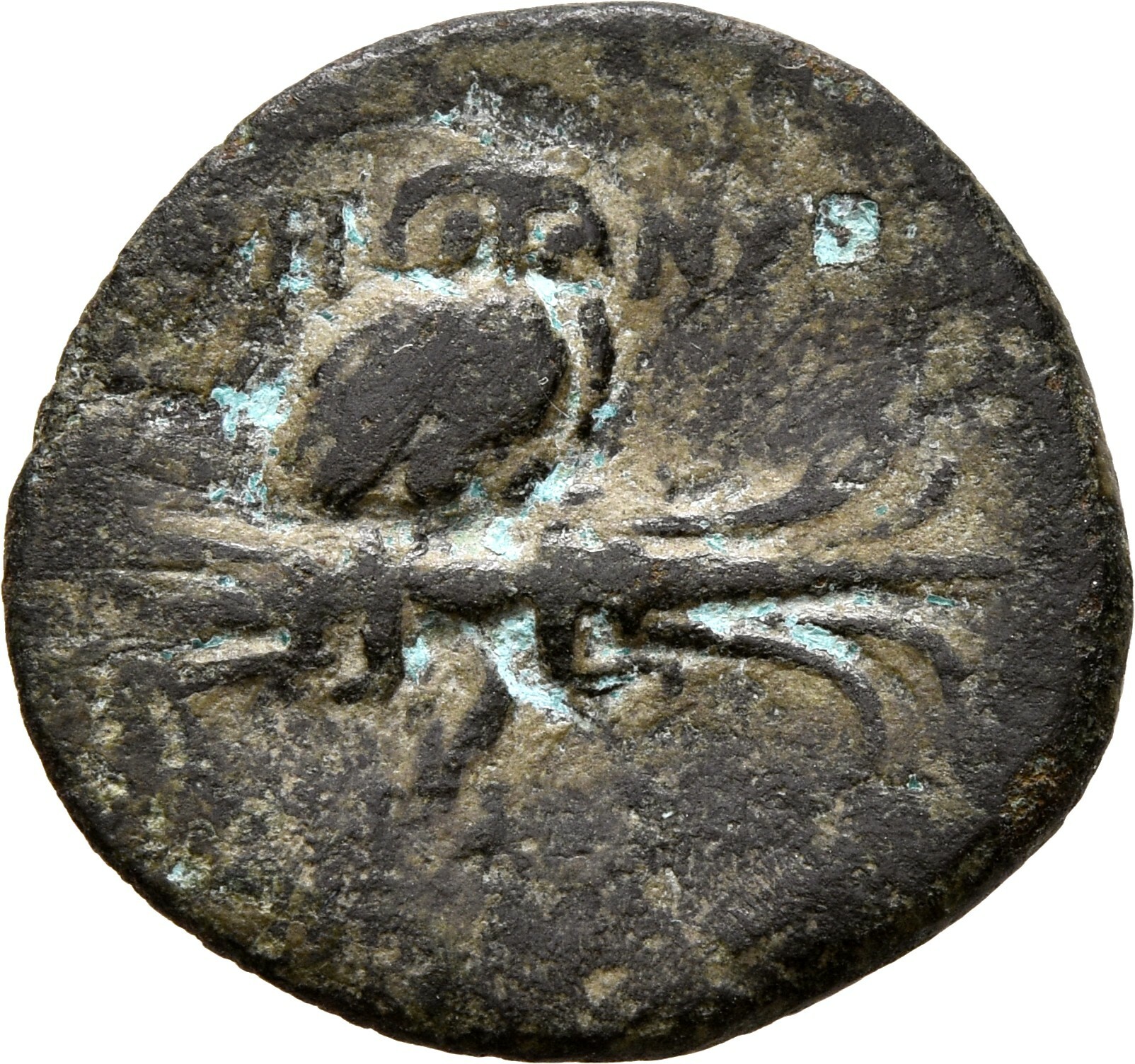 CN Type 11883, реверс, cn-coins
