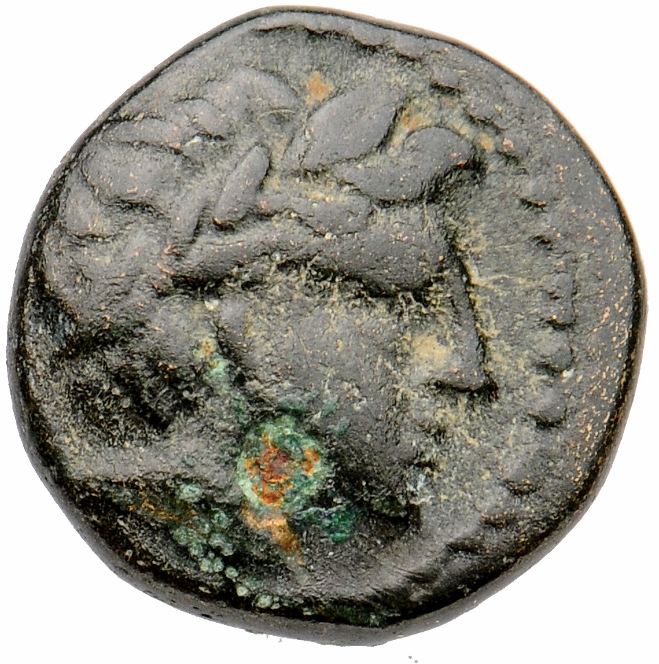 CN Type cn.orthagoreia_thrace.1_ed.2, аверс, cn-coins
