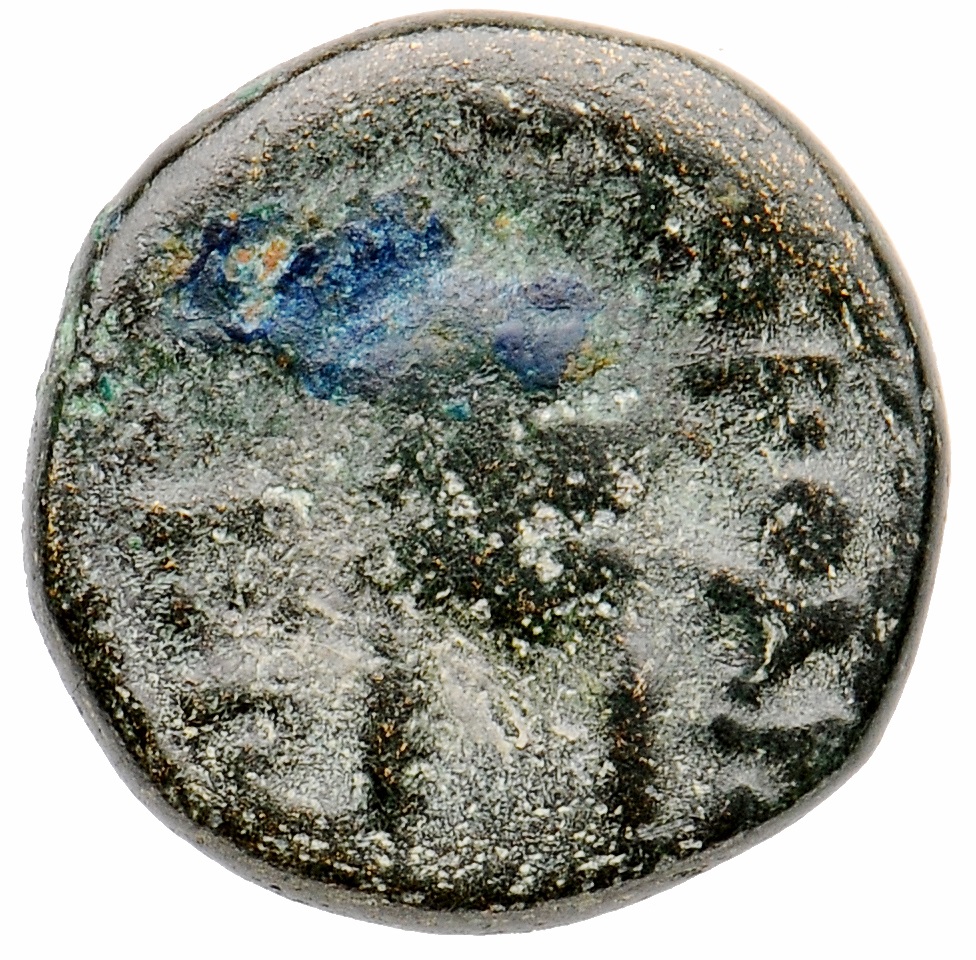 CN Type cn.orthagoreia_thrace.1_ed.2, реверс, cn-coins