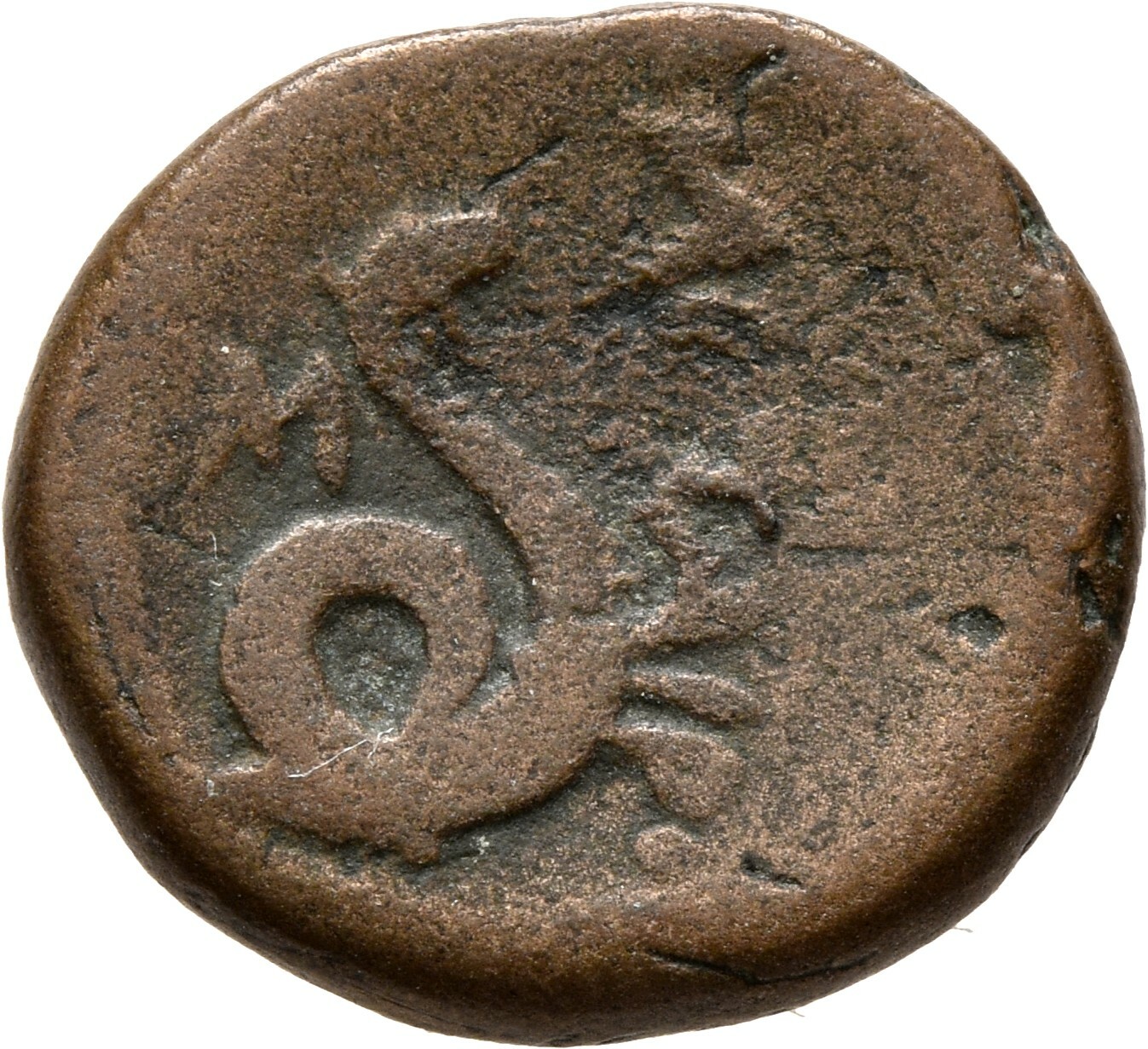 coin rev