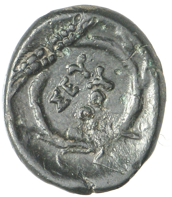реверс CN Type cn.seuthes_iii_odrysian_thrace.1_ed.6