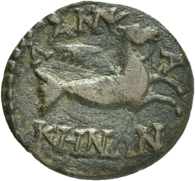 CN Type 19961, реверс, cn-coins