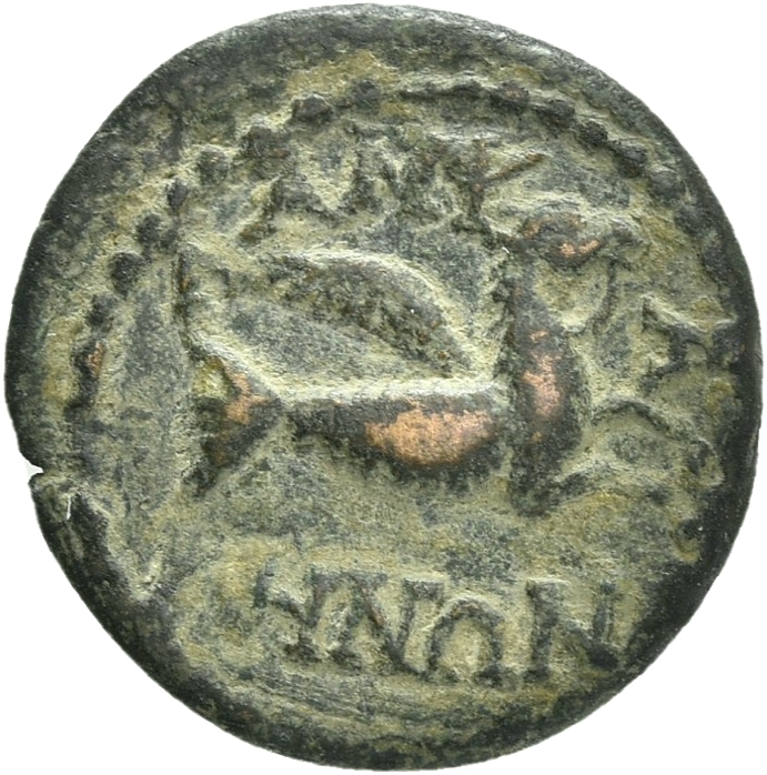 CN Type 19961, реверс, cn-coins