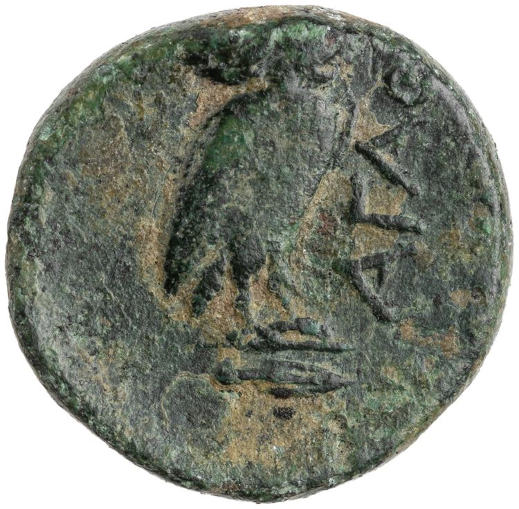 reverse CN Type cn.agathopolis.1_ed.3