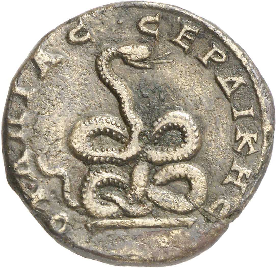 реверс CN Type cn.serdica.1_ed.99