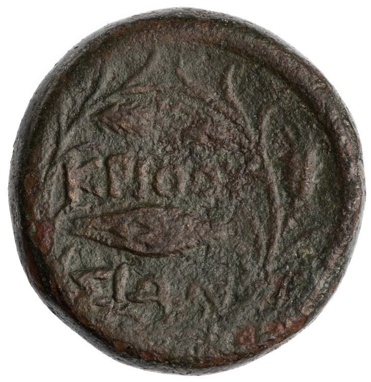 CN Type cn.crithote.1_ed.2, реверс, cn-coins