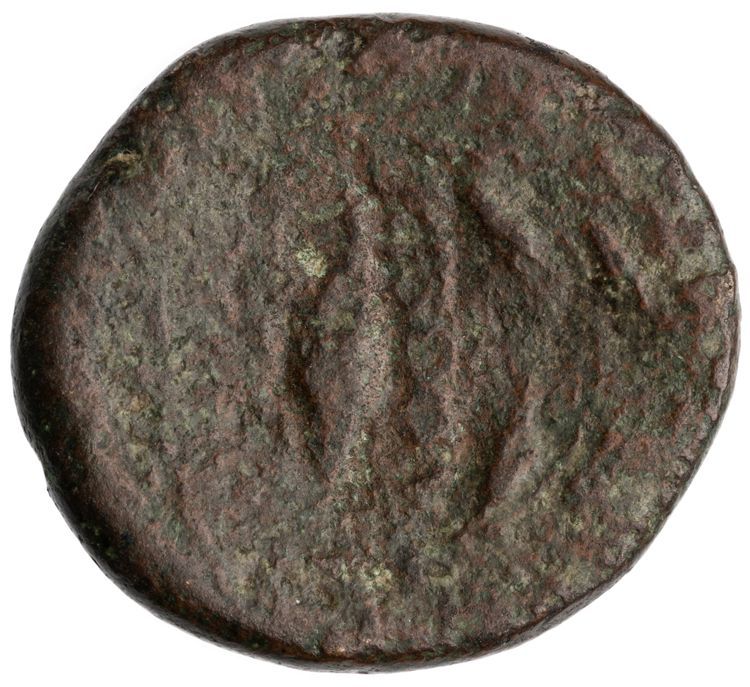 CN Type cn.crithote.1_ed.2, реверс, cn-coins