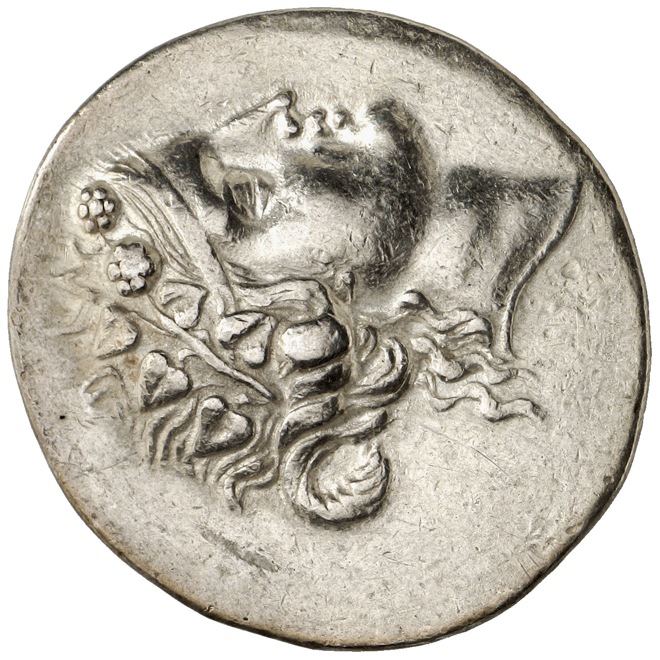 CN Type cn.thasos.1_ed.137, аверс, cn-coins