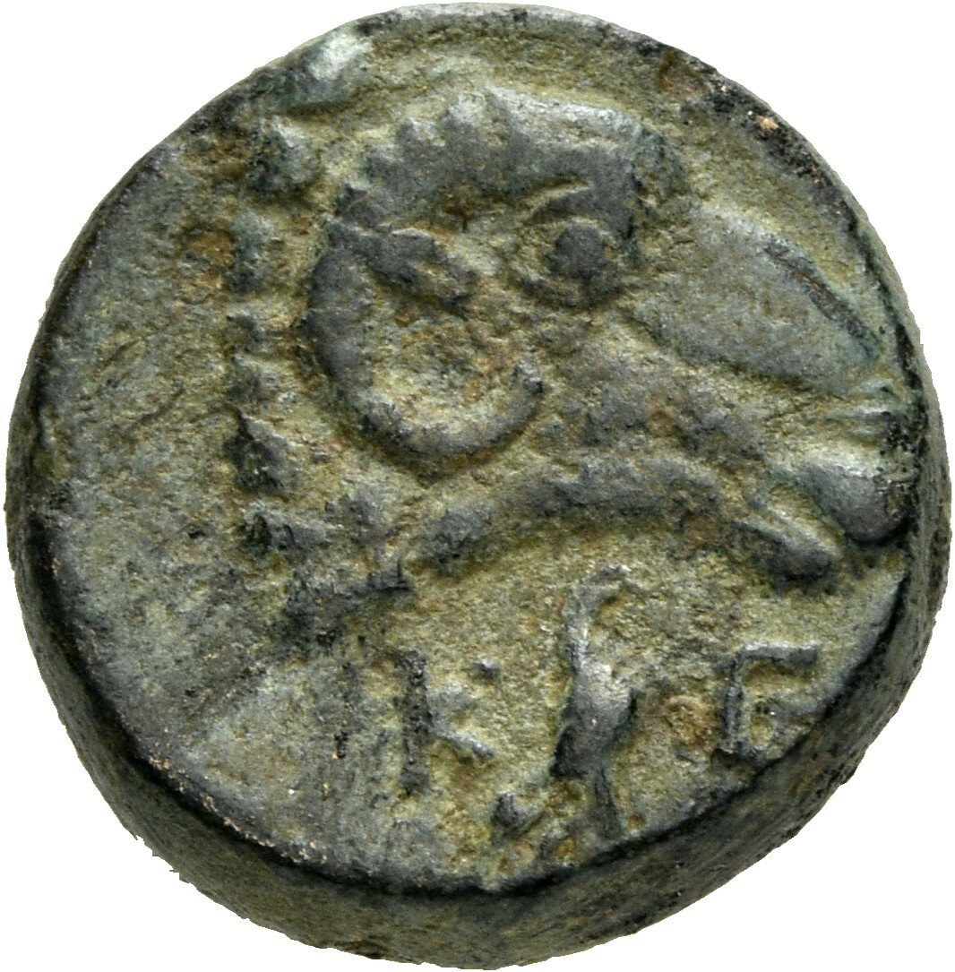 CN Type 12081, реверс, cn-coins