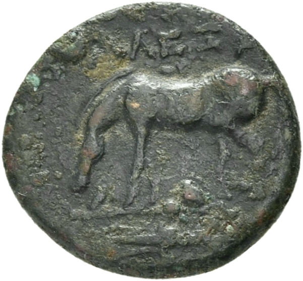 reverse CN Type 21054
